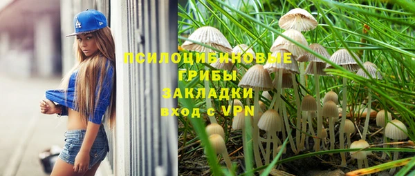 твердый Костерёво