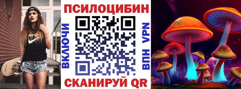 Галлюциногенные грибы Psilocybe Купить Белёв
